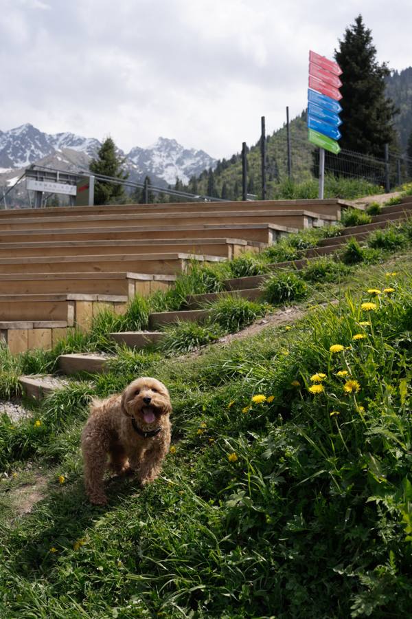 Almaty, frame _DSC1619, rated 5 stars