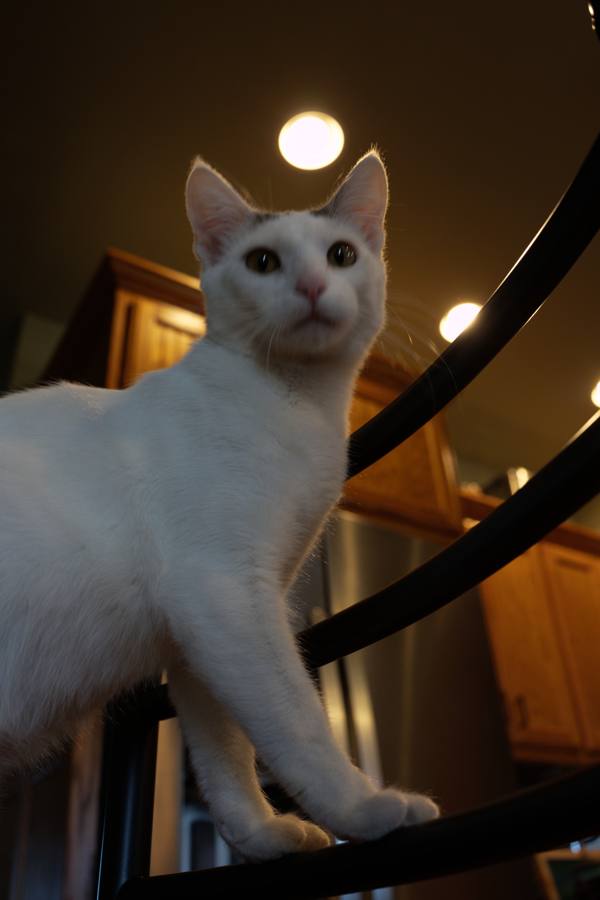 Frame _DSC5981