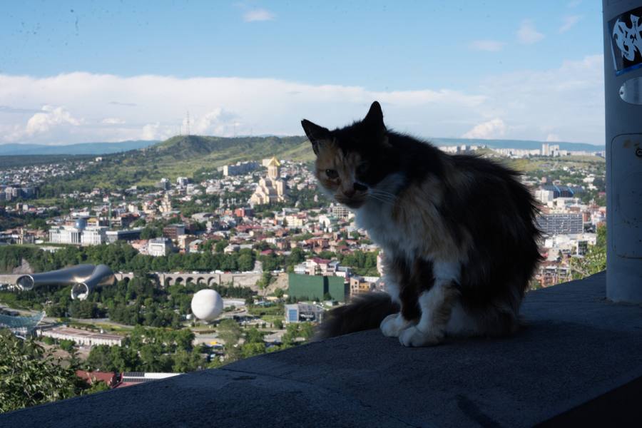Tbilisi, frame _DSC2816, rated 4 stars