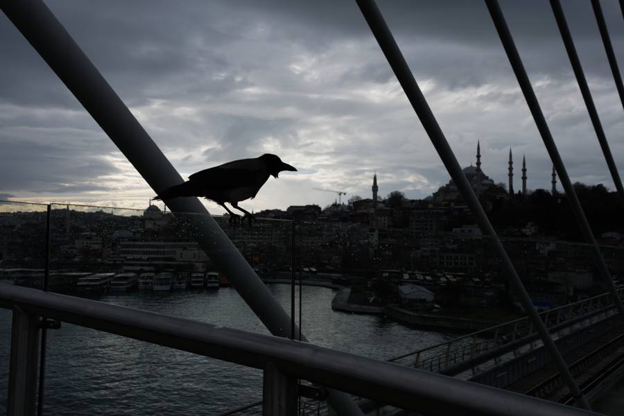 Istanbul, frame _DSC5239, rated 4 stars
