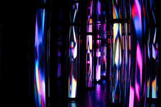 Frame _DSC5594