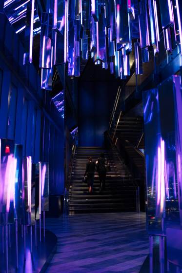 Frame _DSC5635