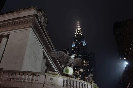 Frame _DSC5543
